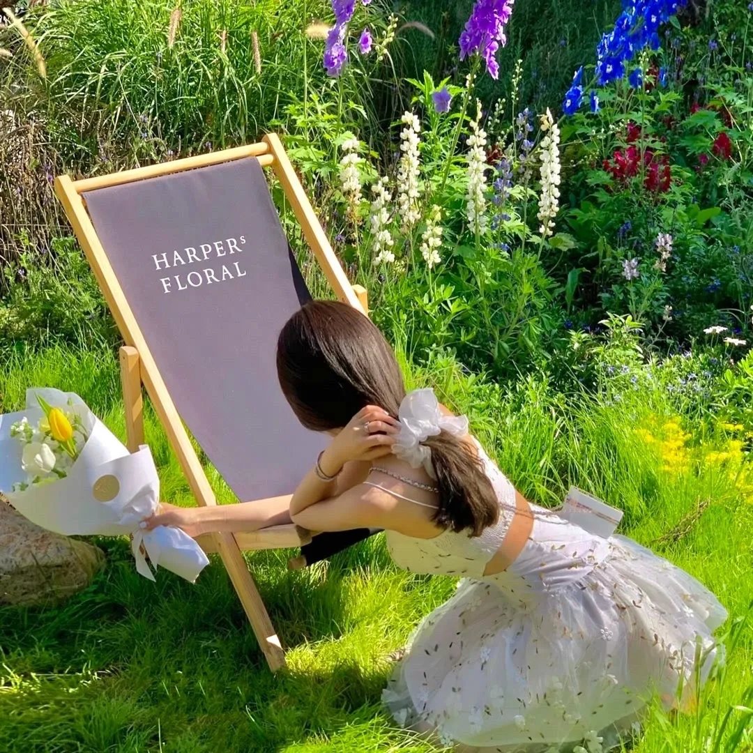 森林：随处可见